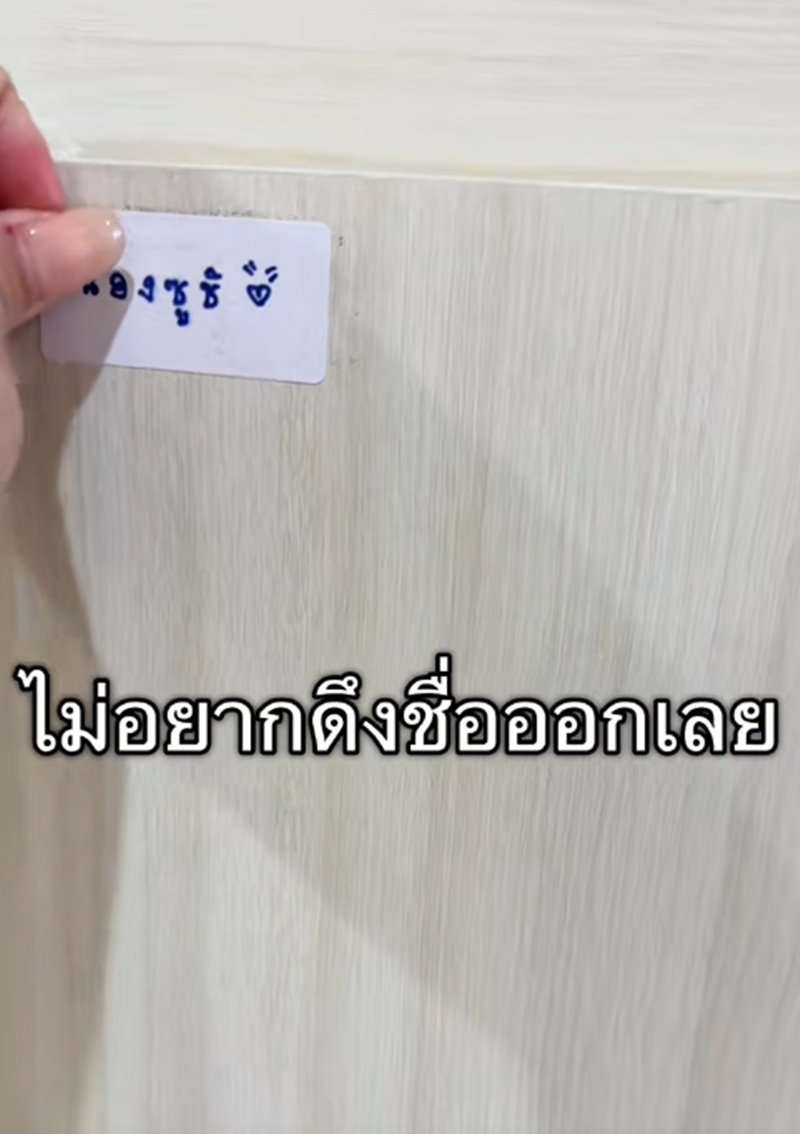 เลี้ยงแมว