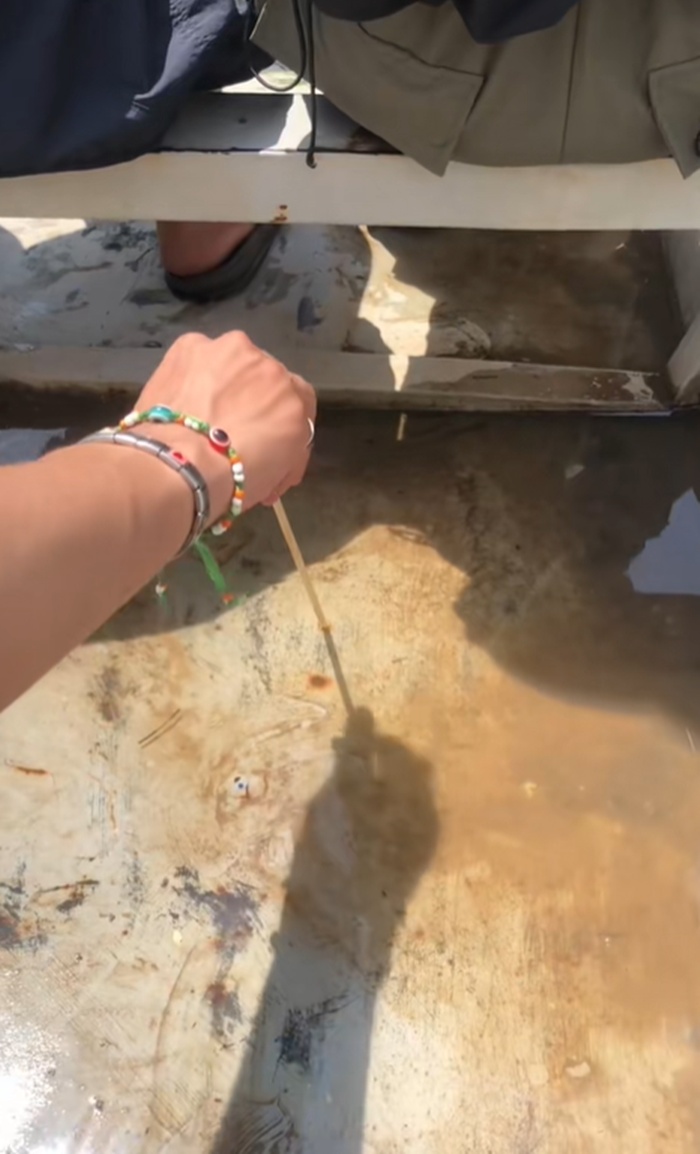 ตะเกียบ