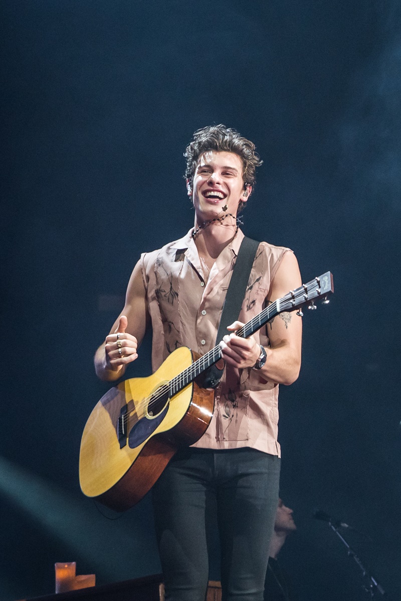 Shawn Mendes The Tour