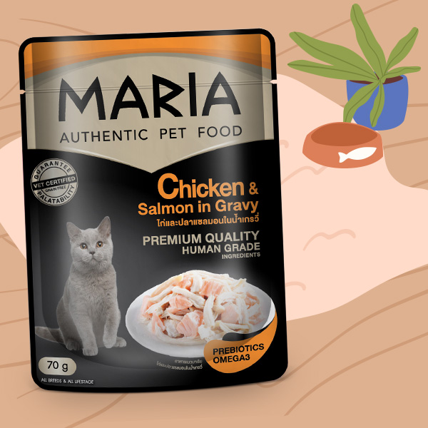 Maria (มาเรีย)
