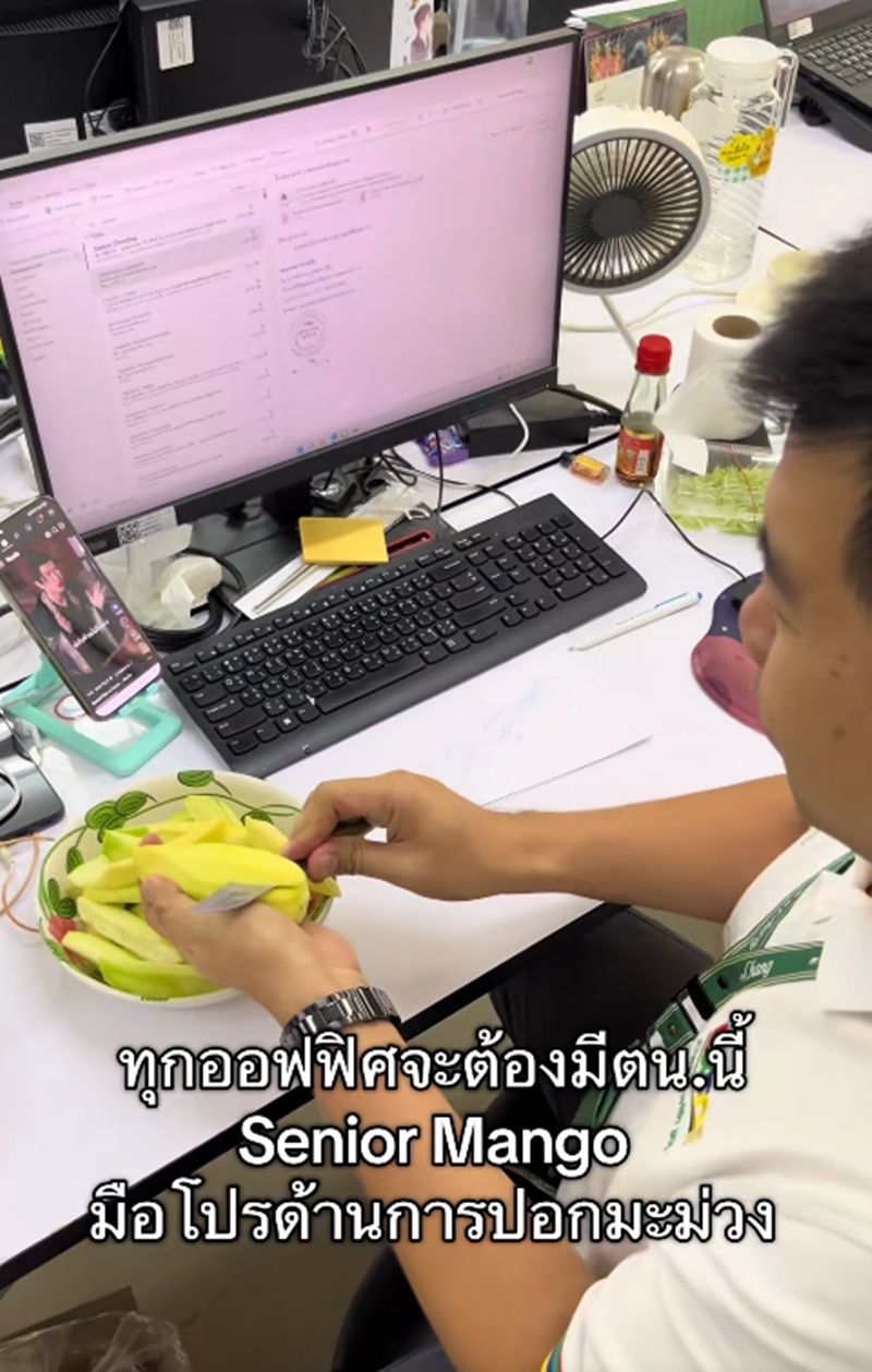 ปอกมะม่วง