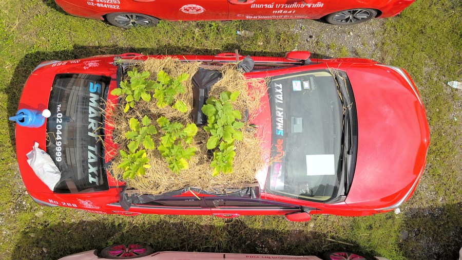 สุสานแท็กซี่ กรุงเทพฯ