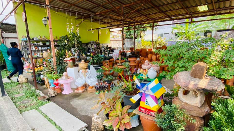 ตลาดต้นไม้