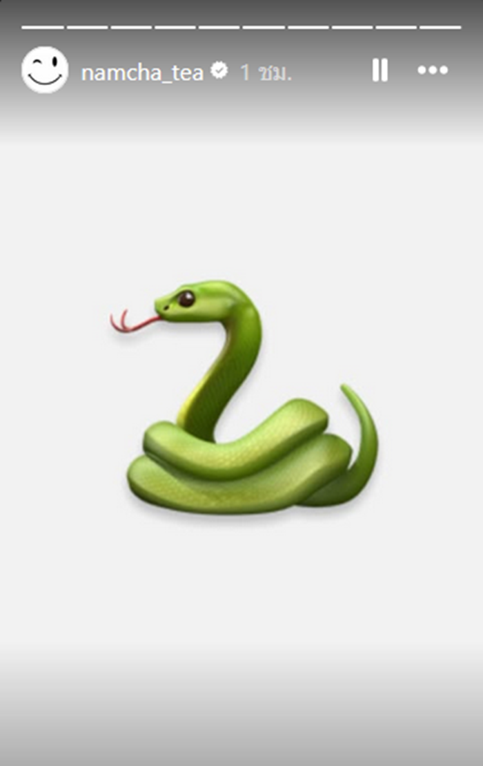 น้ำชา ชีรณัฐ