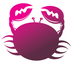 ดูดวงการเงิน เดือนกุมภาพันธ์ 2566