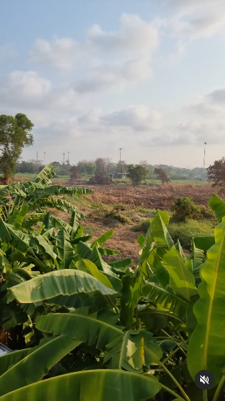  ตั๊ก มยุรา