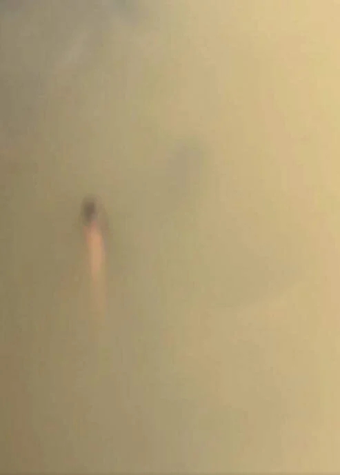 ปล่อยปลาไหล