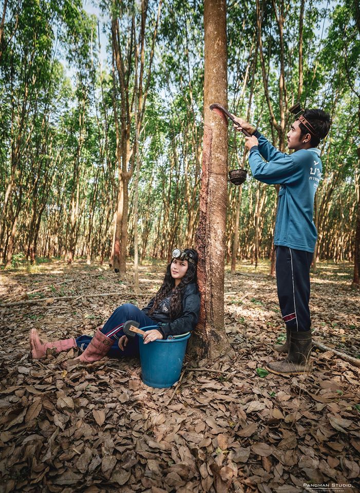 ถ่ายพรีเวดดิ้ง