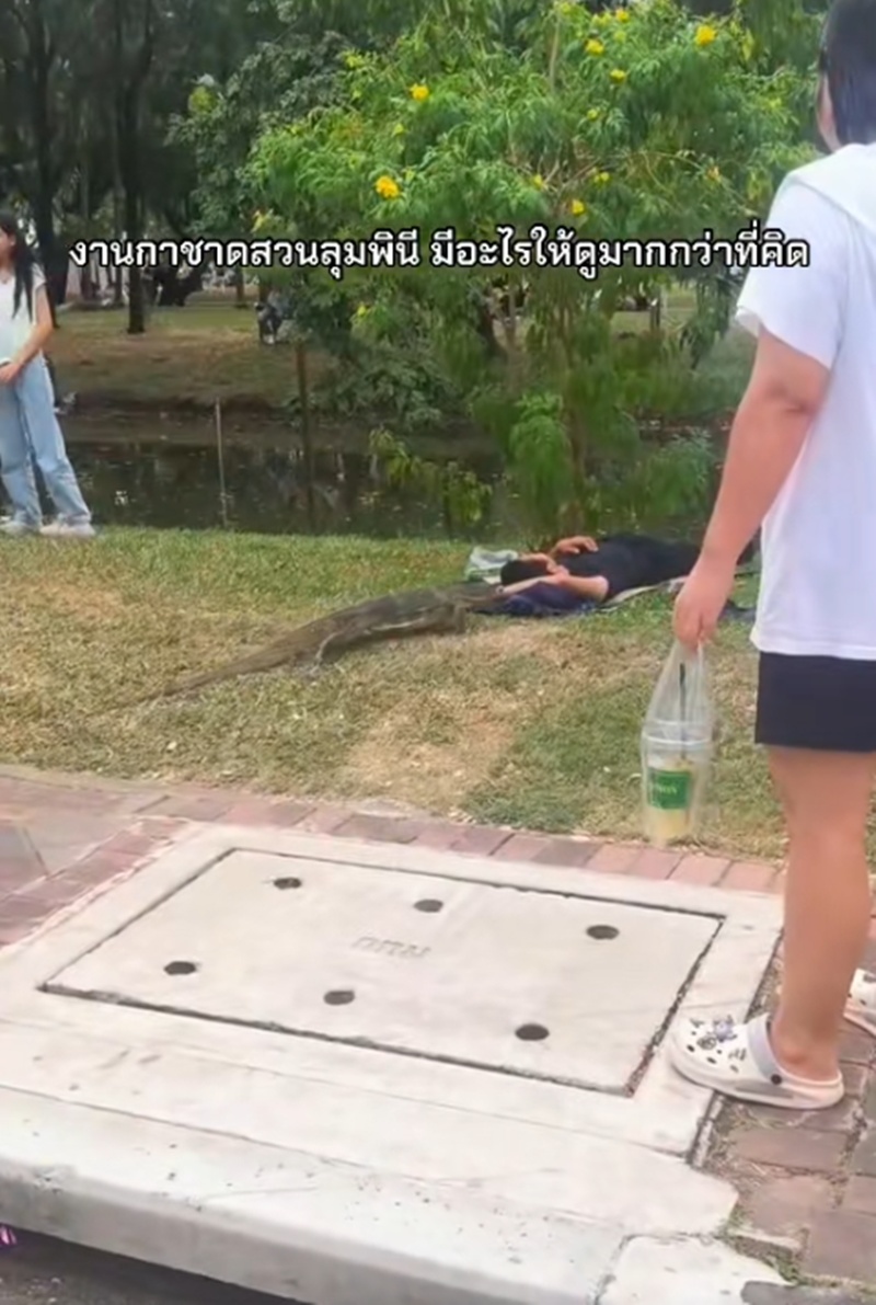 ปูเสื่อนอน