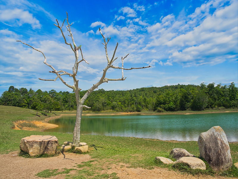 อ่างเก็บน้ำสายศร