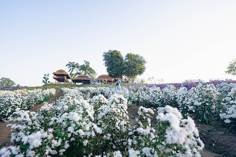 Khlong Lan Flora Park ถ่ายรูป