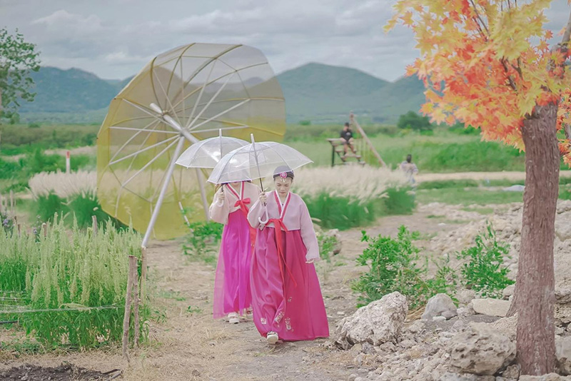 สวนวอนแดซอง กาญจนบุรี