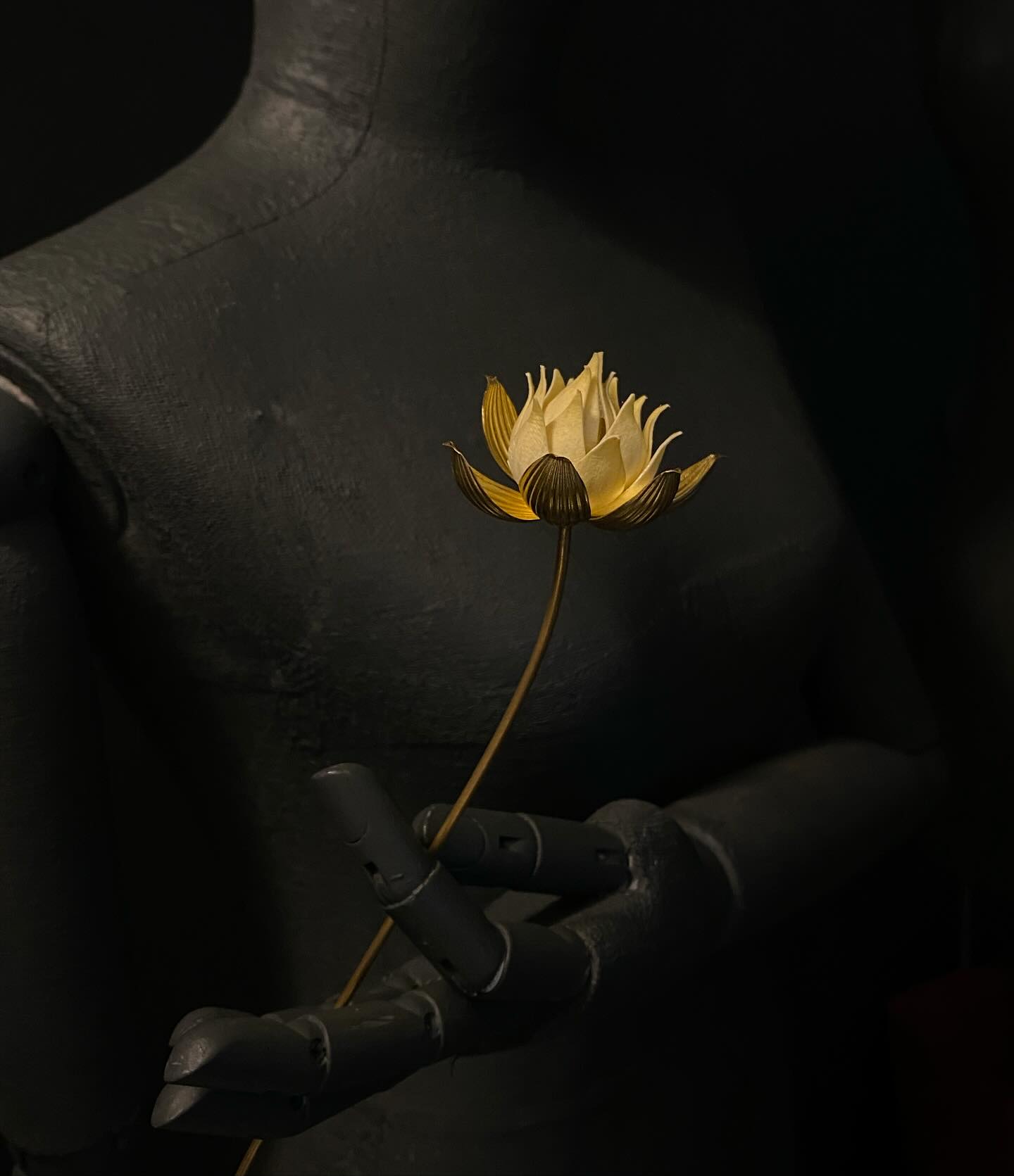 ลิซ่า BLACKPINK