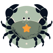 ดูดวงเดือนกุมภาพันธ์