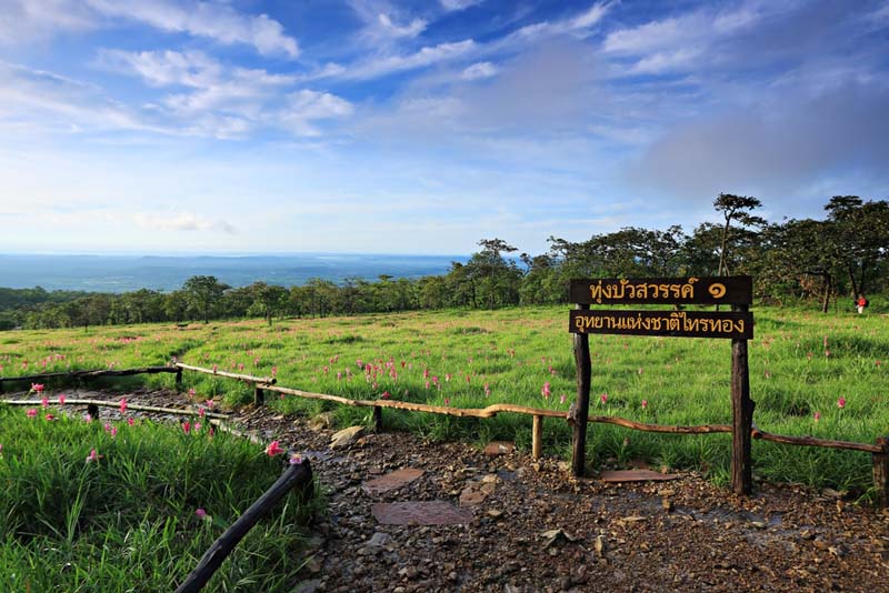ทุ่งบัวสวรรค์ 1