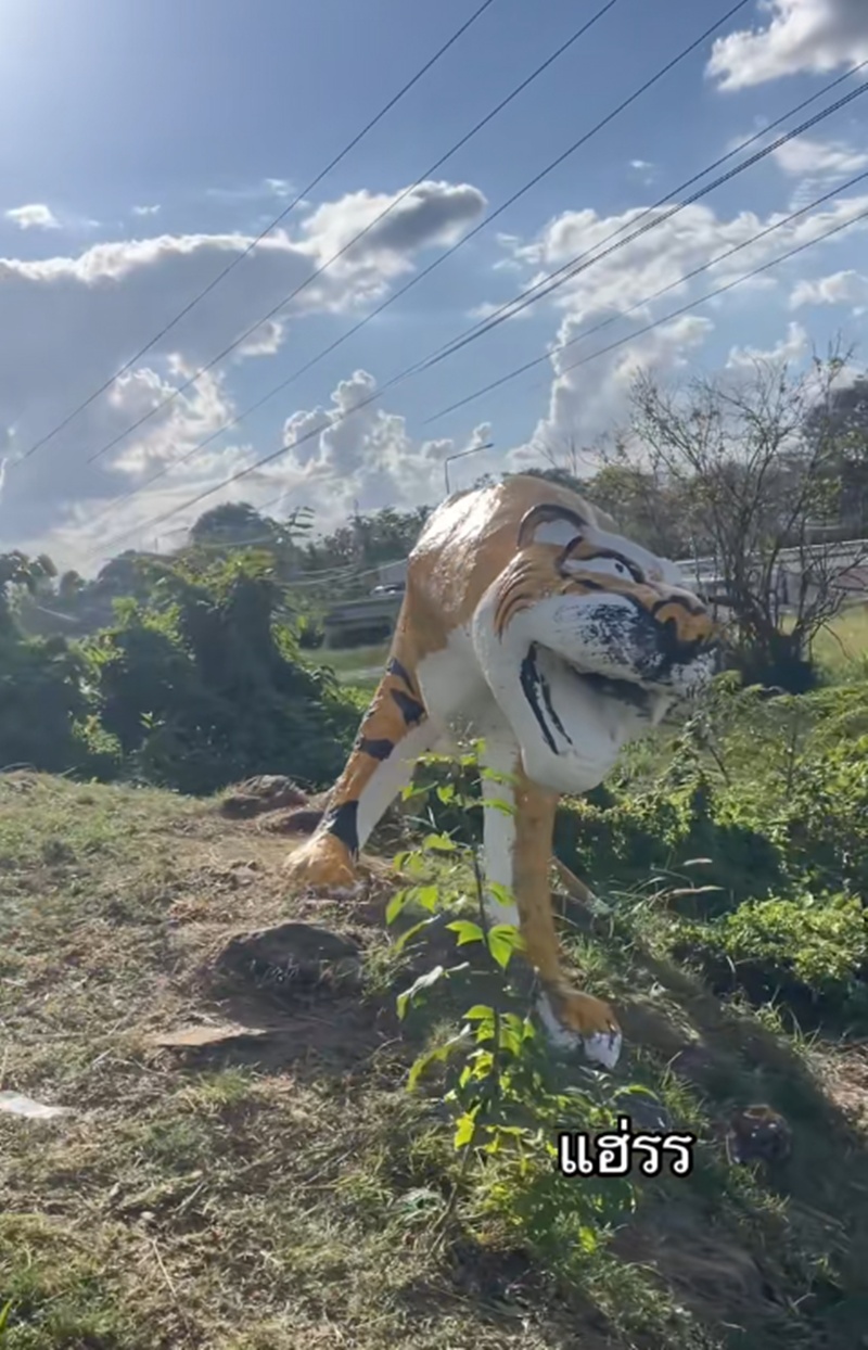 รูปปั้นเสือ