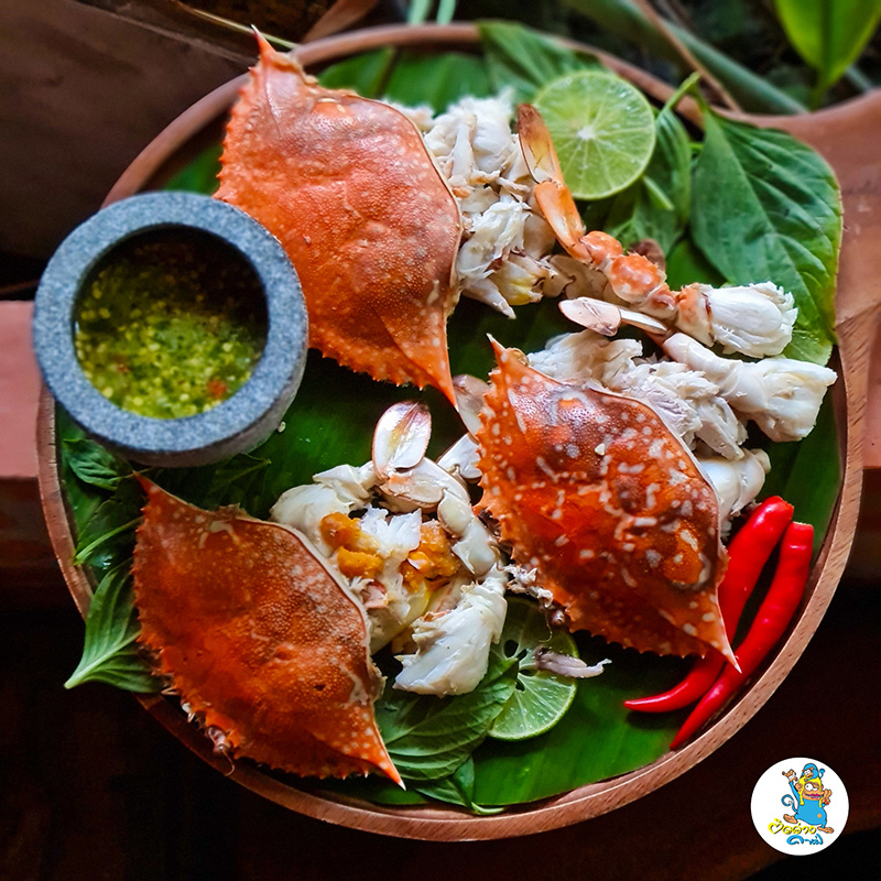 ติดอ่าง คาเฟ่ ร้านอาหารและคาเฟ่ ติดคำค้น Google Trends 2025