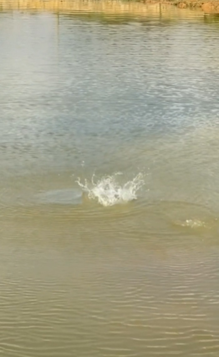 โดรนตกปลา