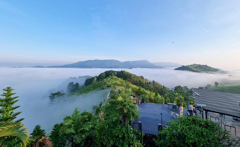 โรงแรม Pet Friendly