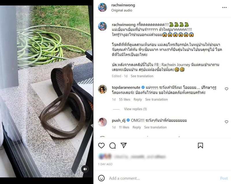 ก้อย รัชวิน