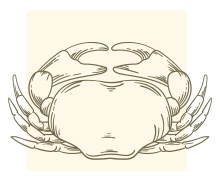 สีเล็บเสริมดวง