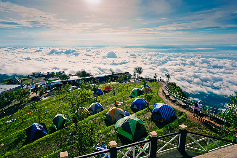 ภูทับเบิก กางเต็นท์