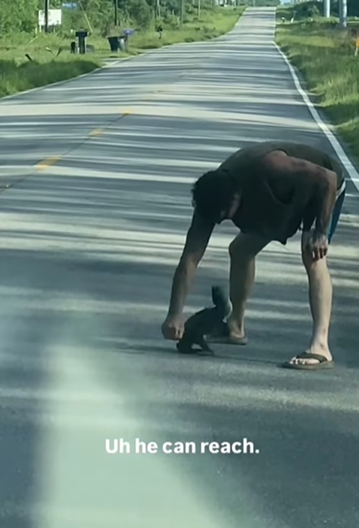 ช่วยเต่า