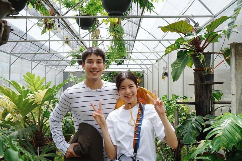 เคน เอสเธอร์