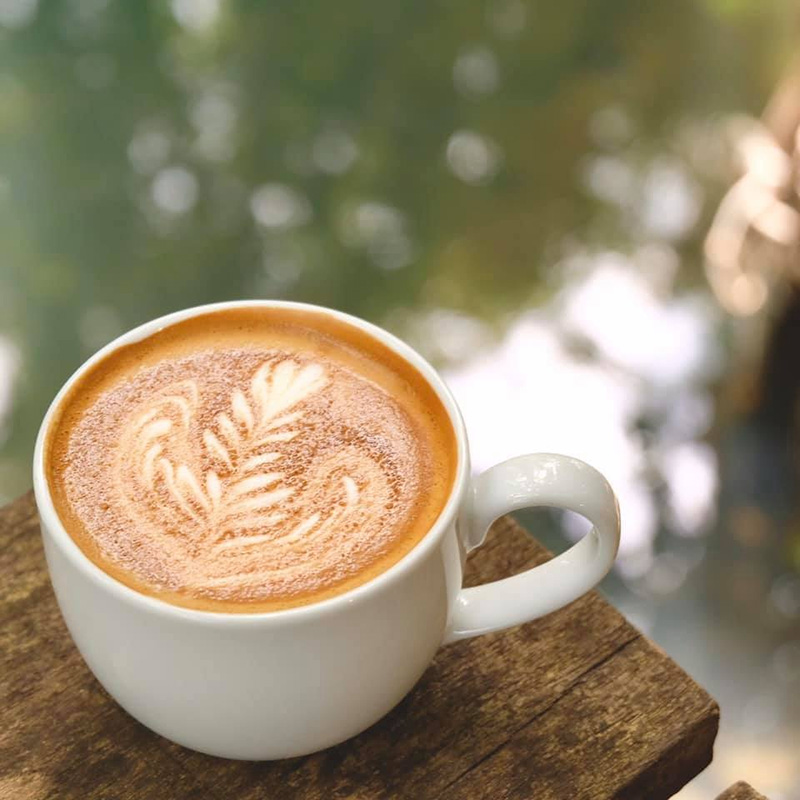 คาเฟ่ในป่า