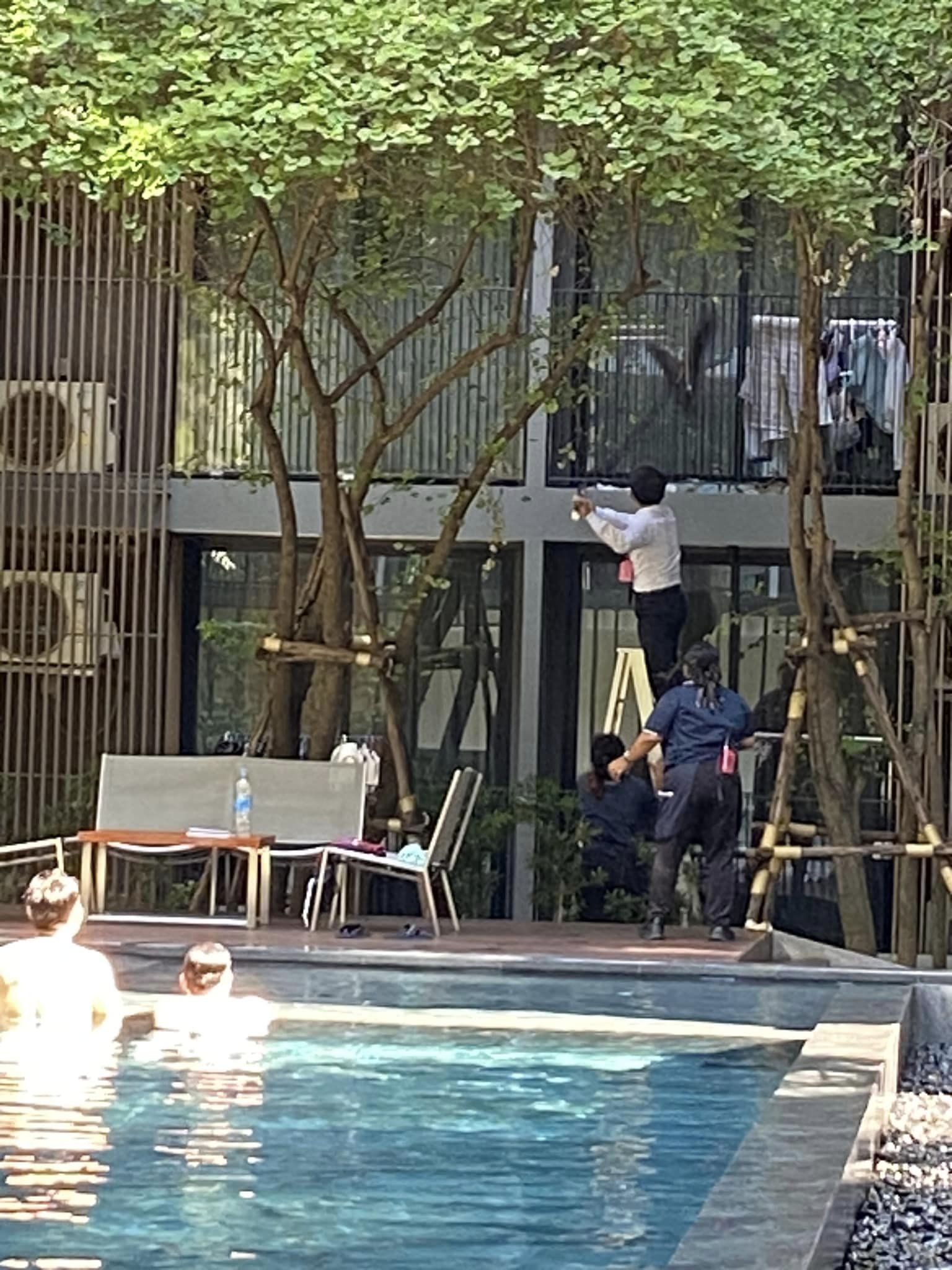 สัตว์หายาก