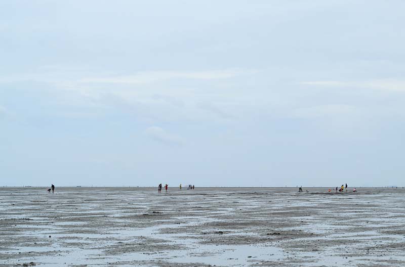 ดอนหอยหลอด