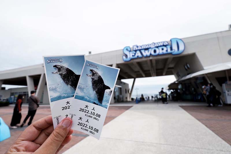 Kamogawa Sea World