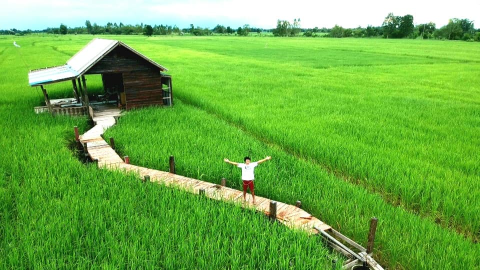 สร้างบ้านกลางทุ่งนา