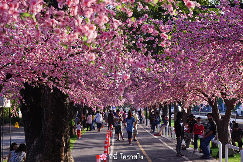 ที่เที่ยวปีใหม่