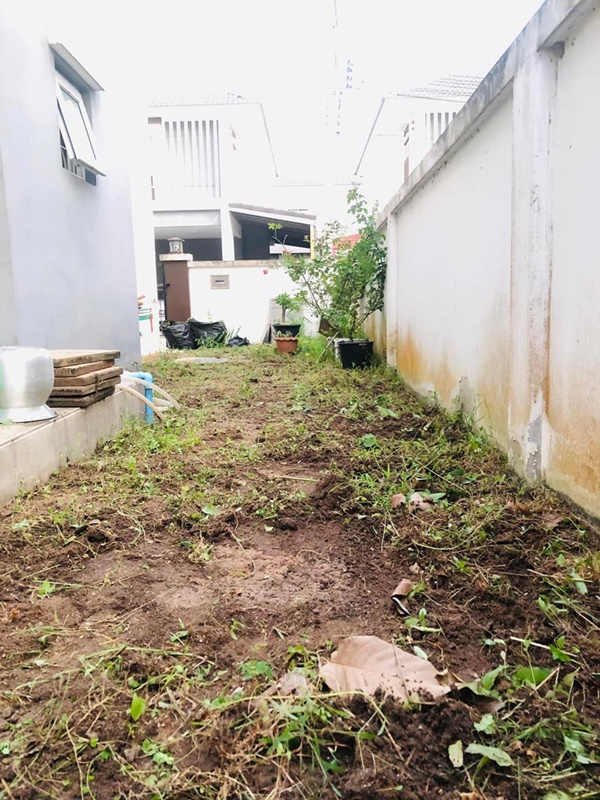 จัดสวนข้างบ้าน