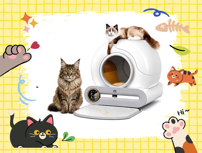 ห้องน้ำแมวอัจฉริยะ น่าซื้อ 2569