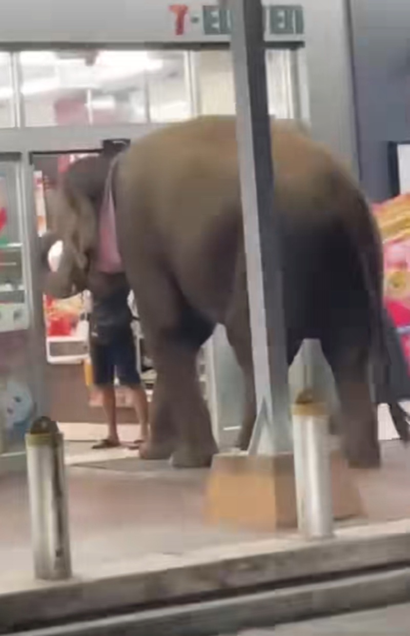 เข้าเซเว่น