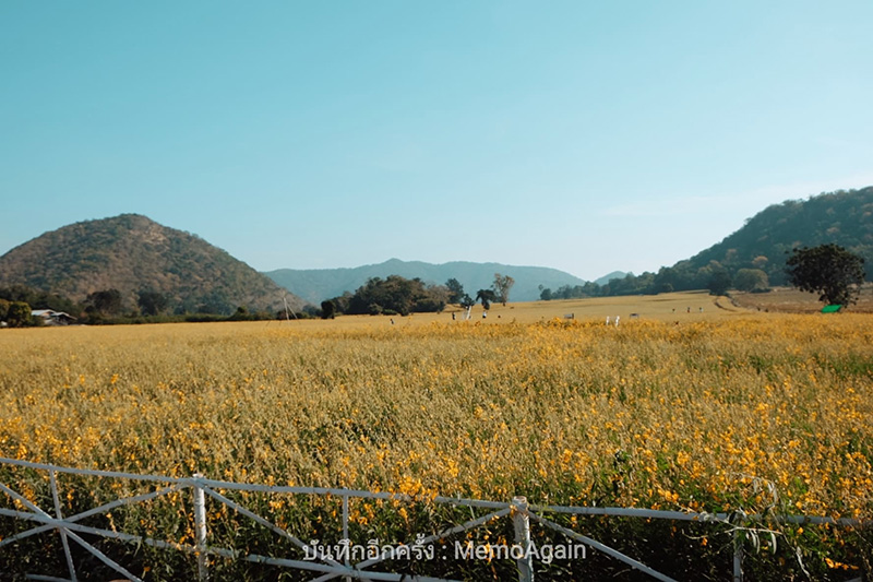 ที่เที่ยวหน้าหนาว ใกล้กรุงเทพฯ