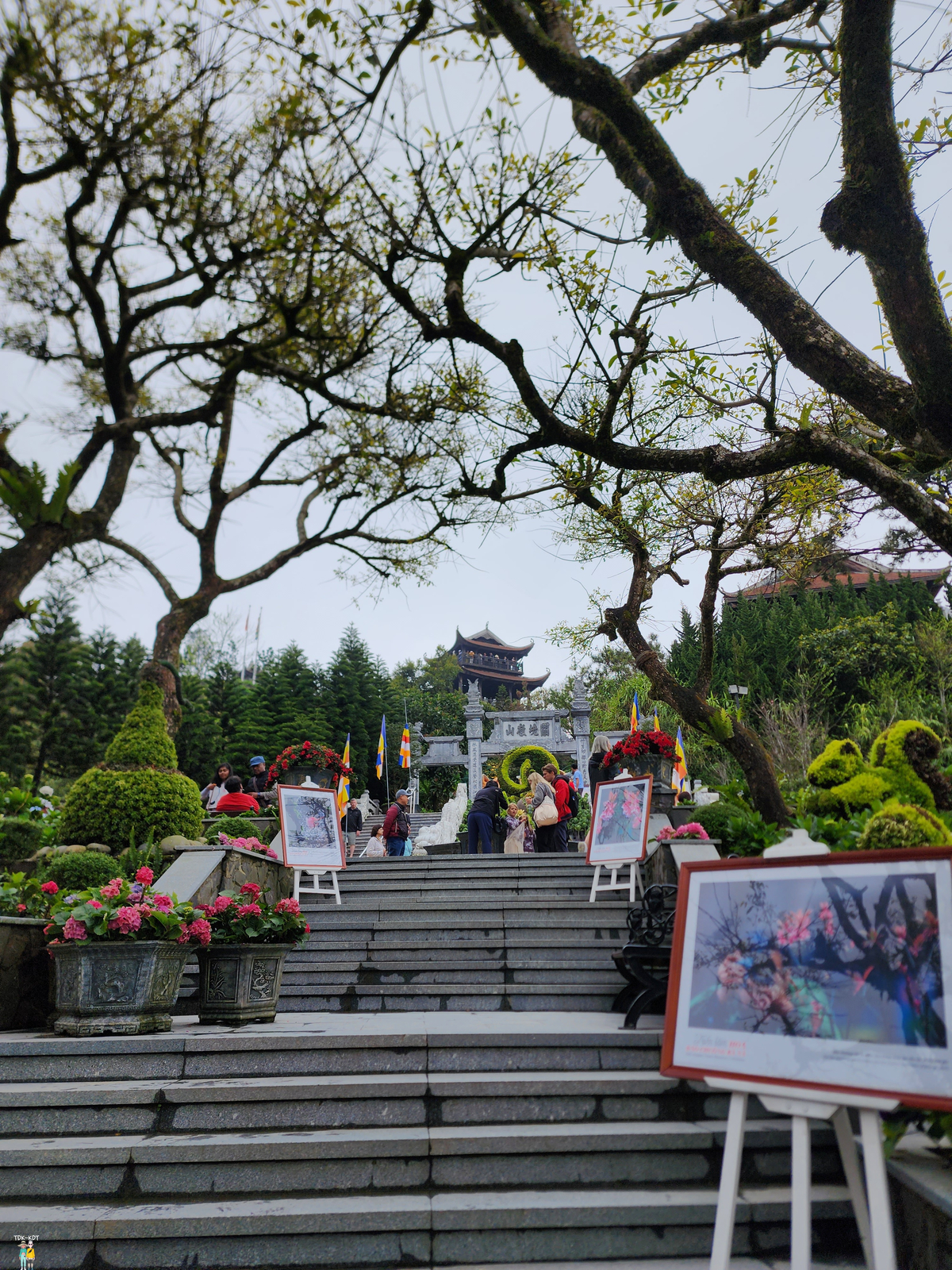 บานาฮิลล์