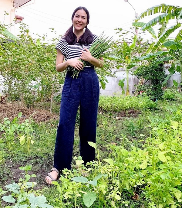 สวนผัก เชอรี่ เข็มอัปสร