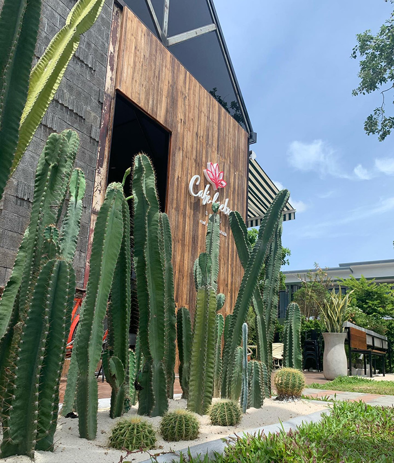 ร้านกาแฟสมุย