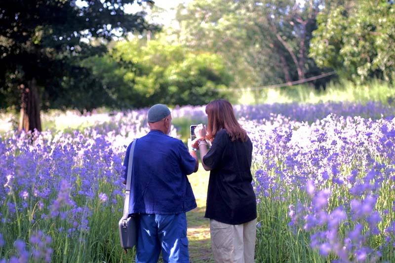 ดอกหงอนนาค ไร่ศักดิ์สุภา นักท่องเที่ยวถ่ายรูป
