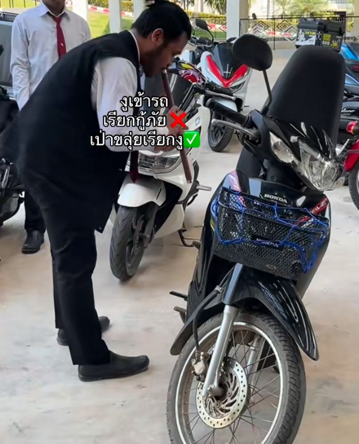 งูเข้ารถ