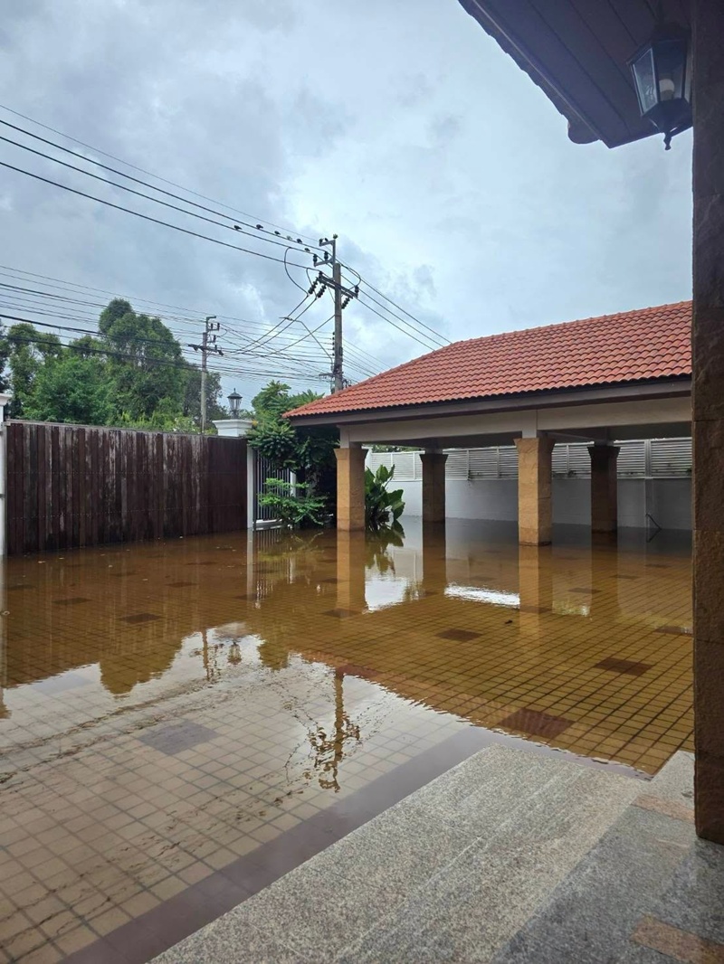 บิณฑ์ บรรลือฤทธิ์