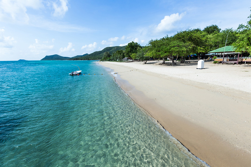 เกาะแสมสาร