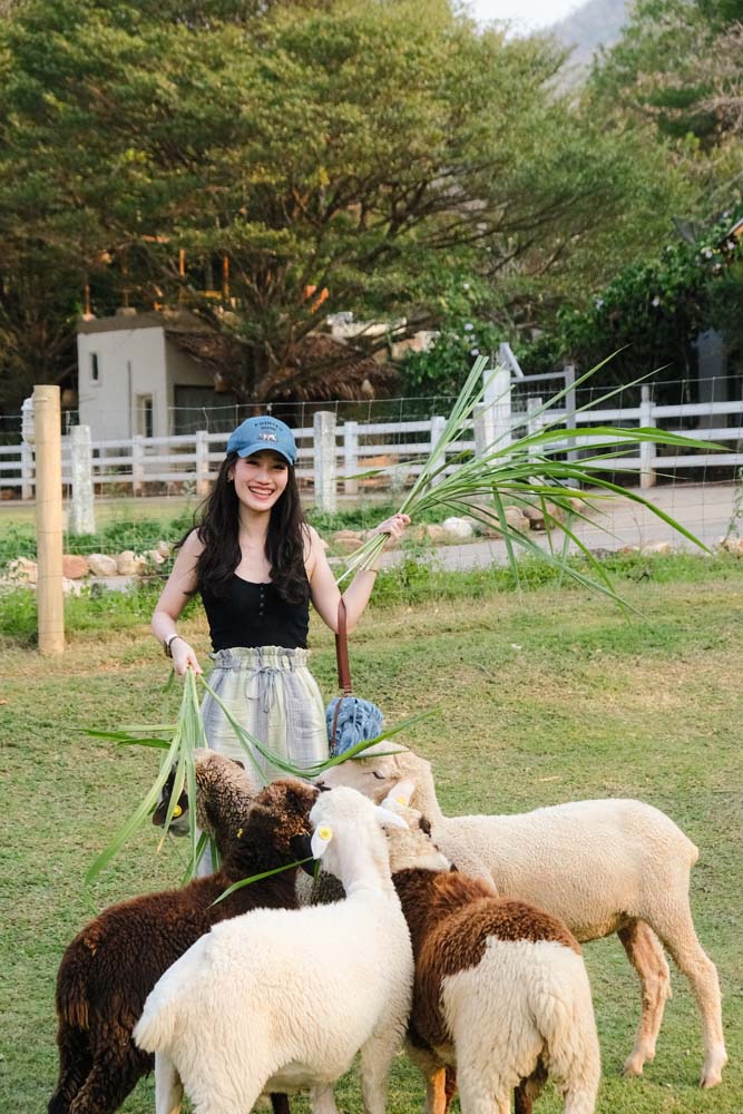 The Scenery Vintage Farm