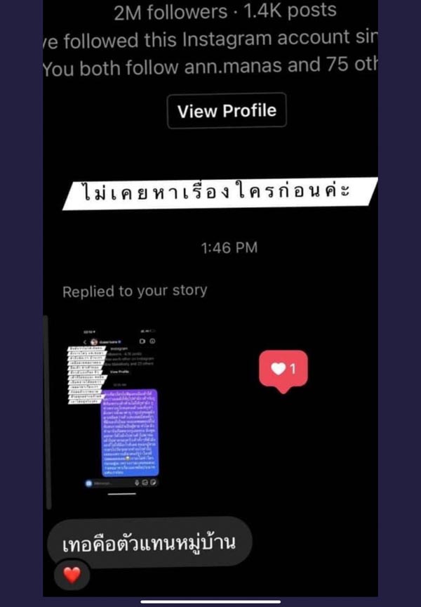 ปุ้มปุ้ย พรรณทิพา