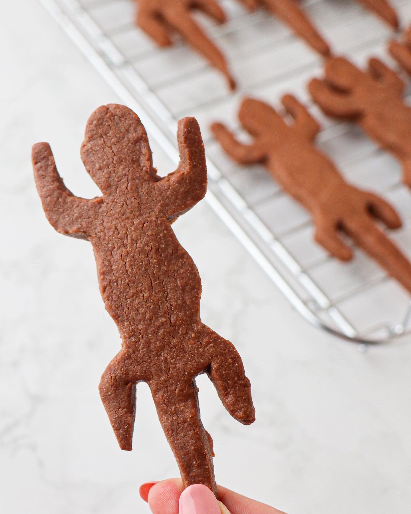 คุกกี้ซาลาแมนเดอร์