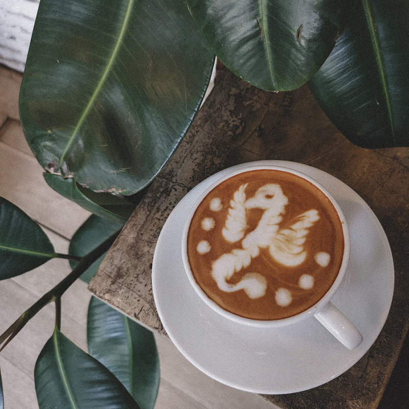 คาเฟ่ เชียงใหม่