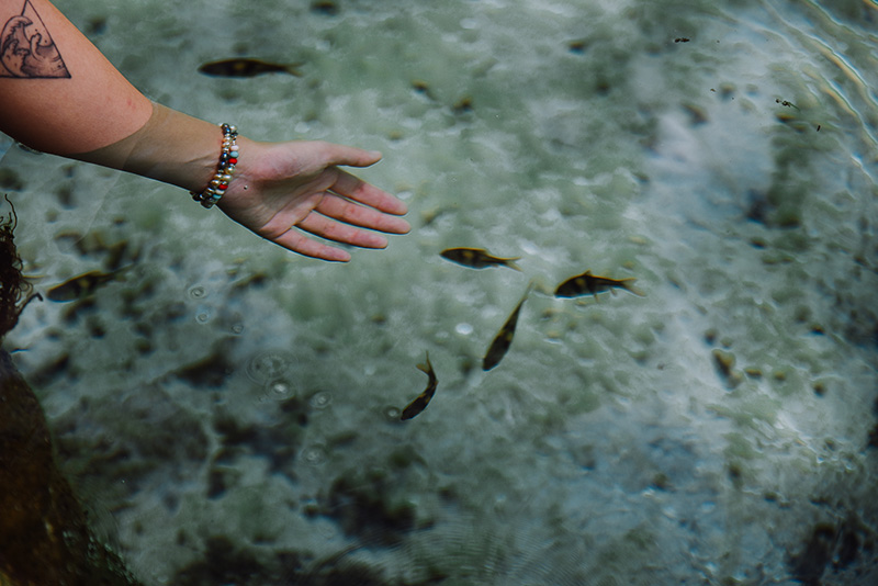 ป่าต้นน้ำ บ้านน้ำราด